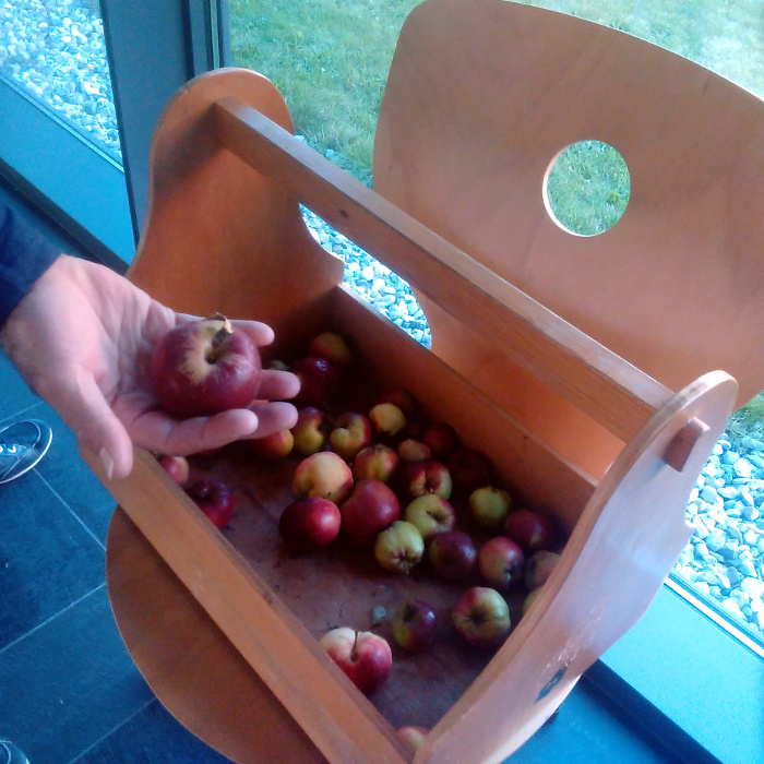 Geerntete Äpfel