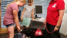 Stars in der Schulmanege
