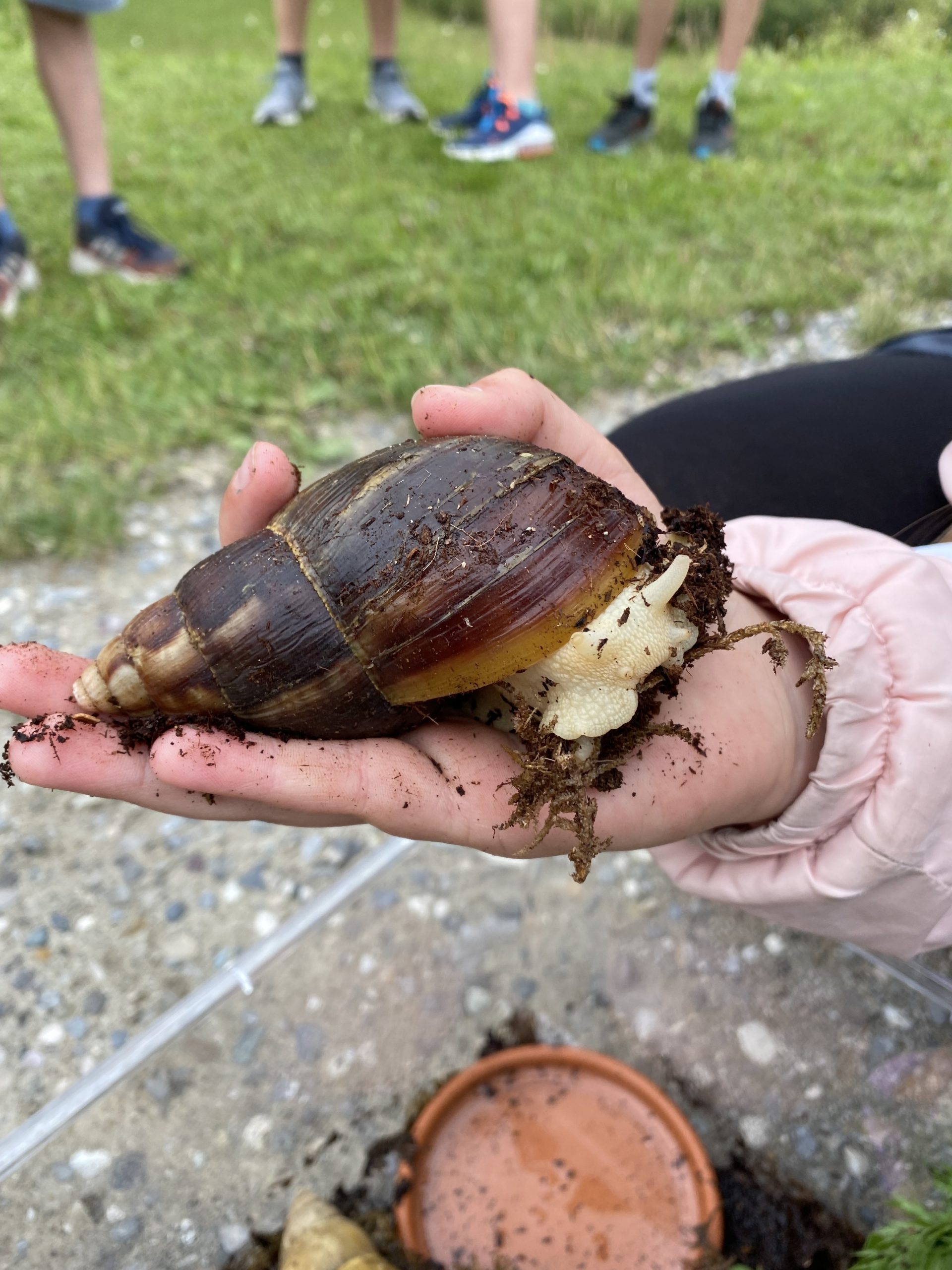 Haustierbesuch in der Klasse 5e